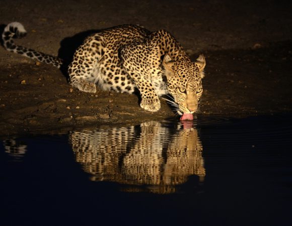6 Day Queen Elizabeth and Lake Mburo